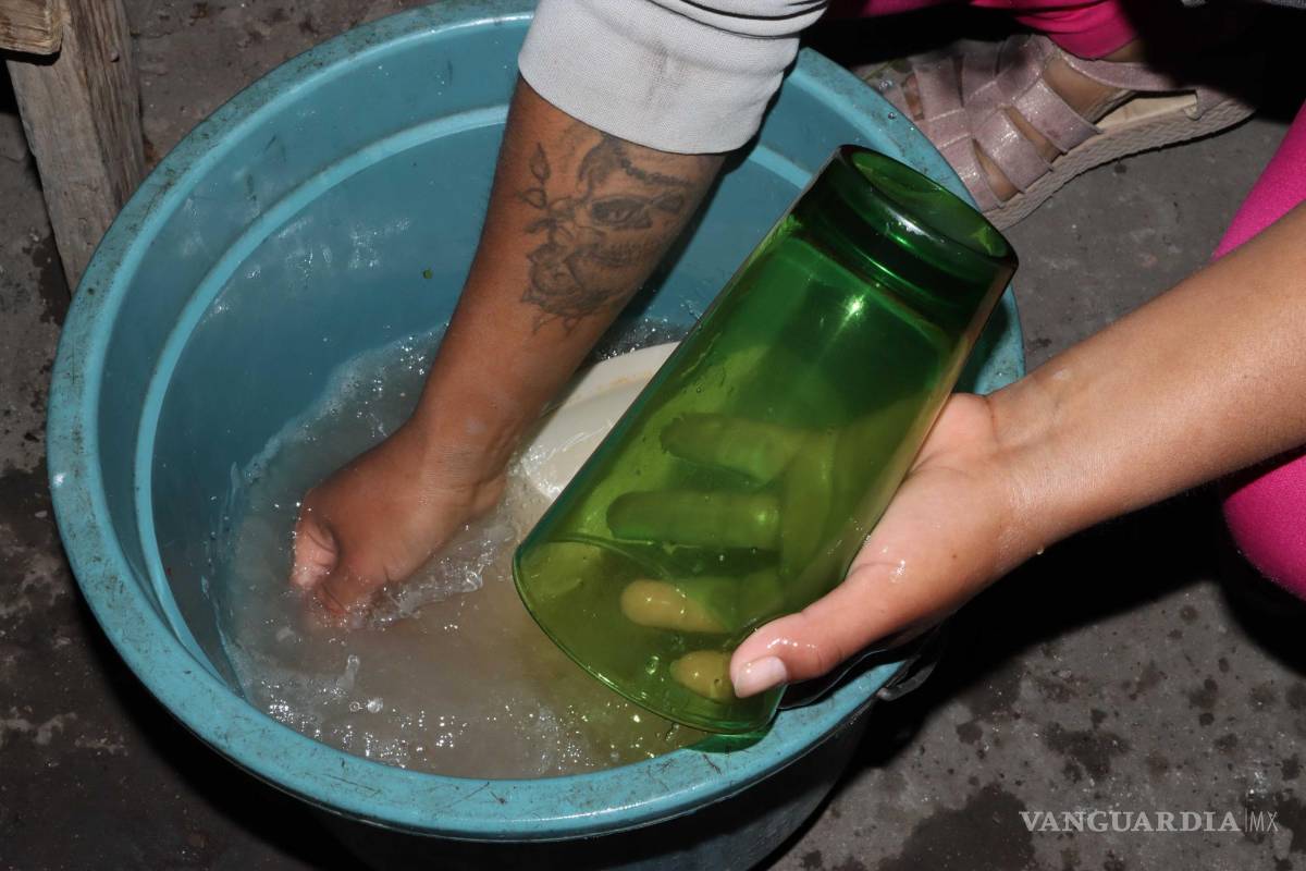 Así es el Día Mundial del Agua en periferia de Saltillo: se bañan, lavan y beben cada tres días