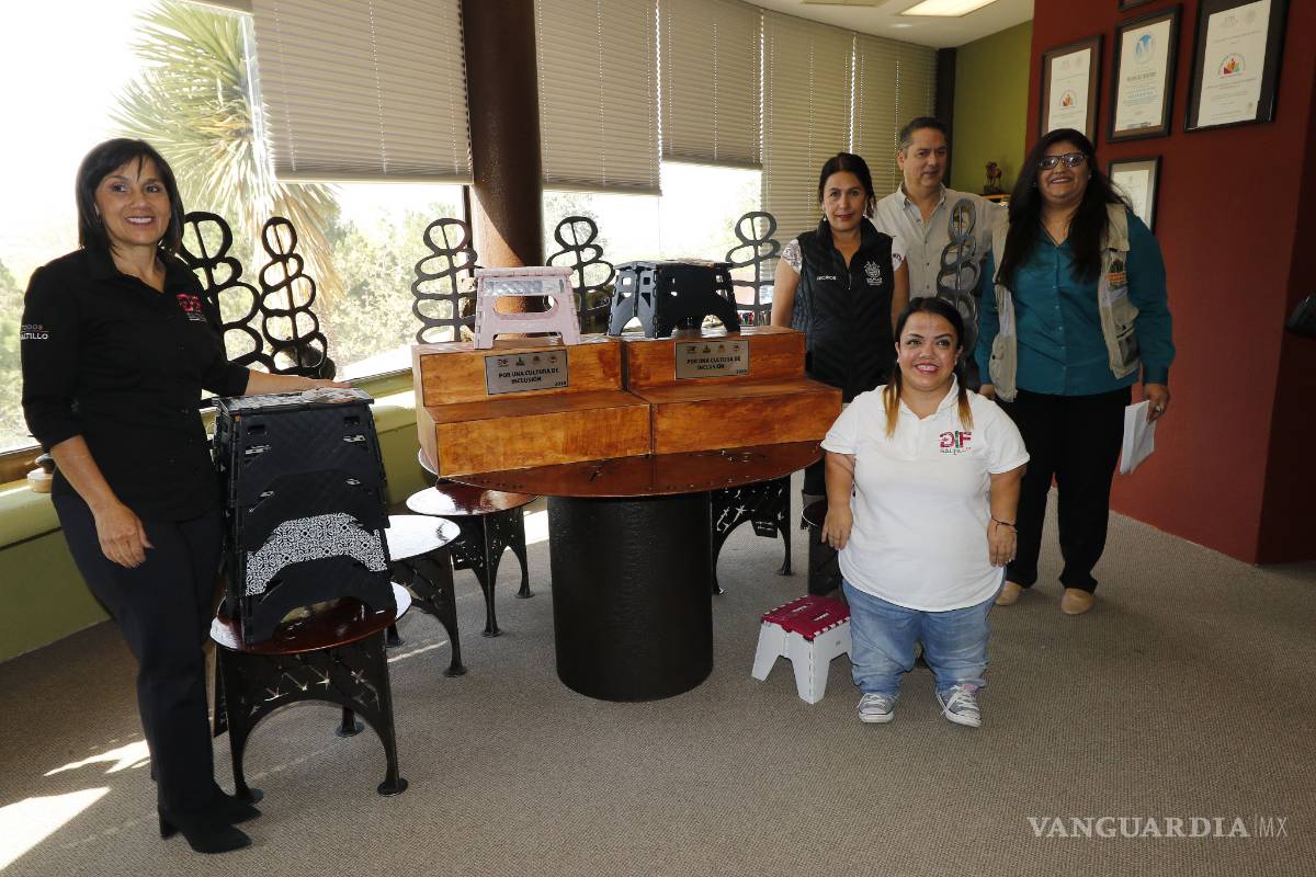 Coloca Mude de Saltillo escalón para gente pequeña