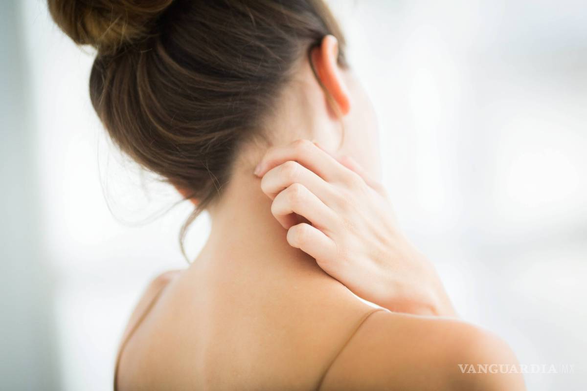 $!El riesgo de no lavar la ropa nueva antes de utilizarla