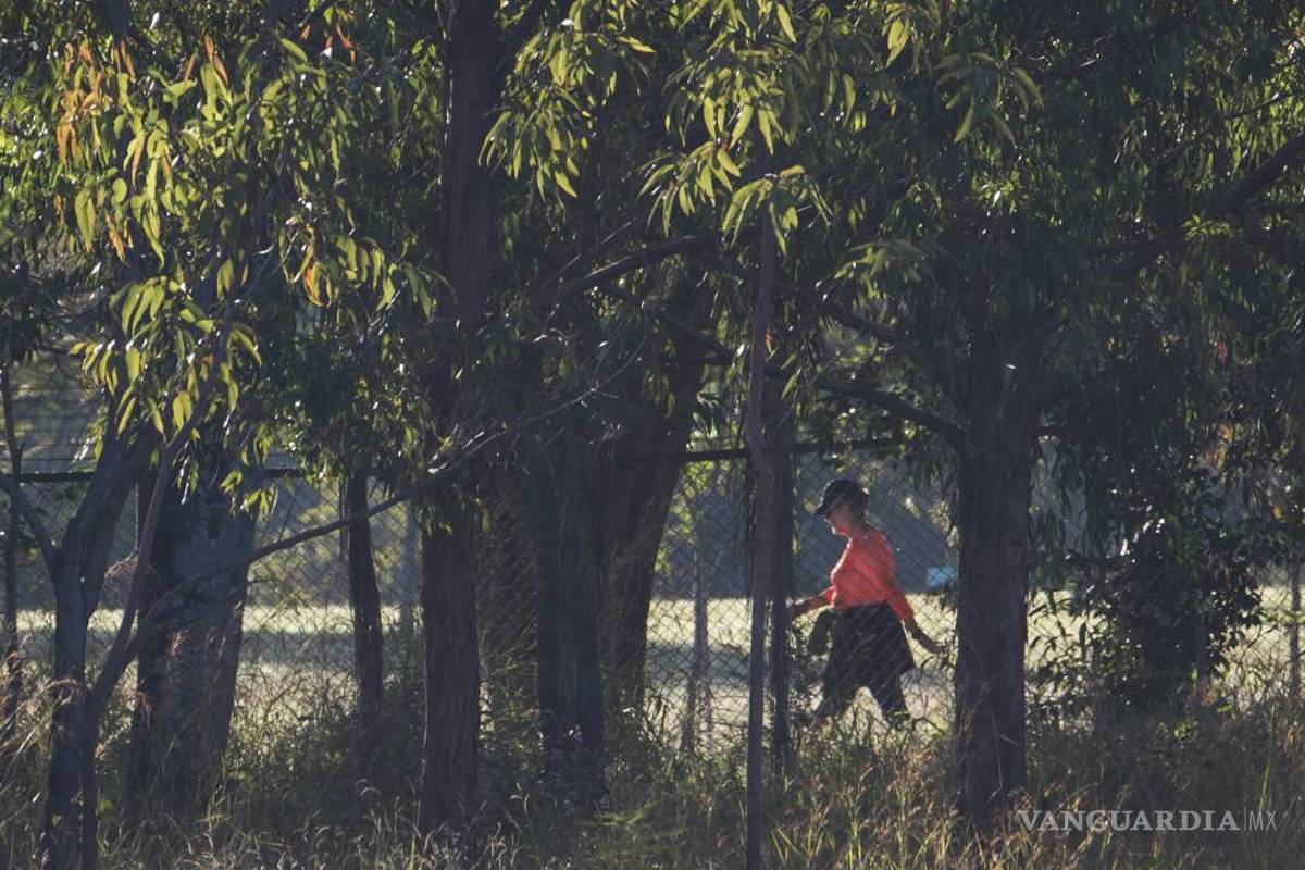 Rousseff deja la bicicleta y sale a caminar en su “día D”