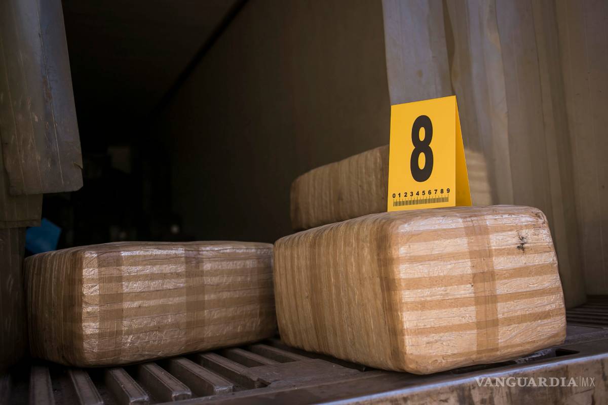 PGR asegura cinco toneladas de droga