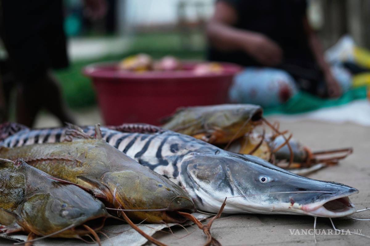 $!99Una mujer vende pescado fresco en Puerto Nariño, Colombia, a orillas del río Amazonas, el domingo 7 de septiembre de 2025.