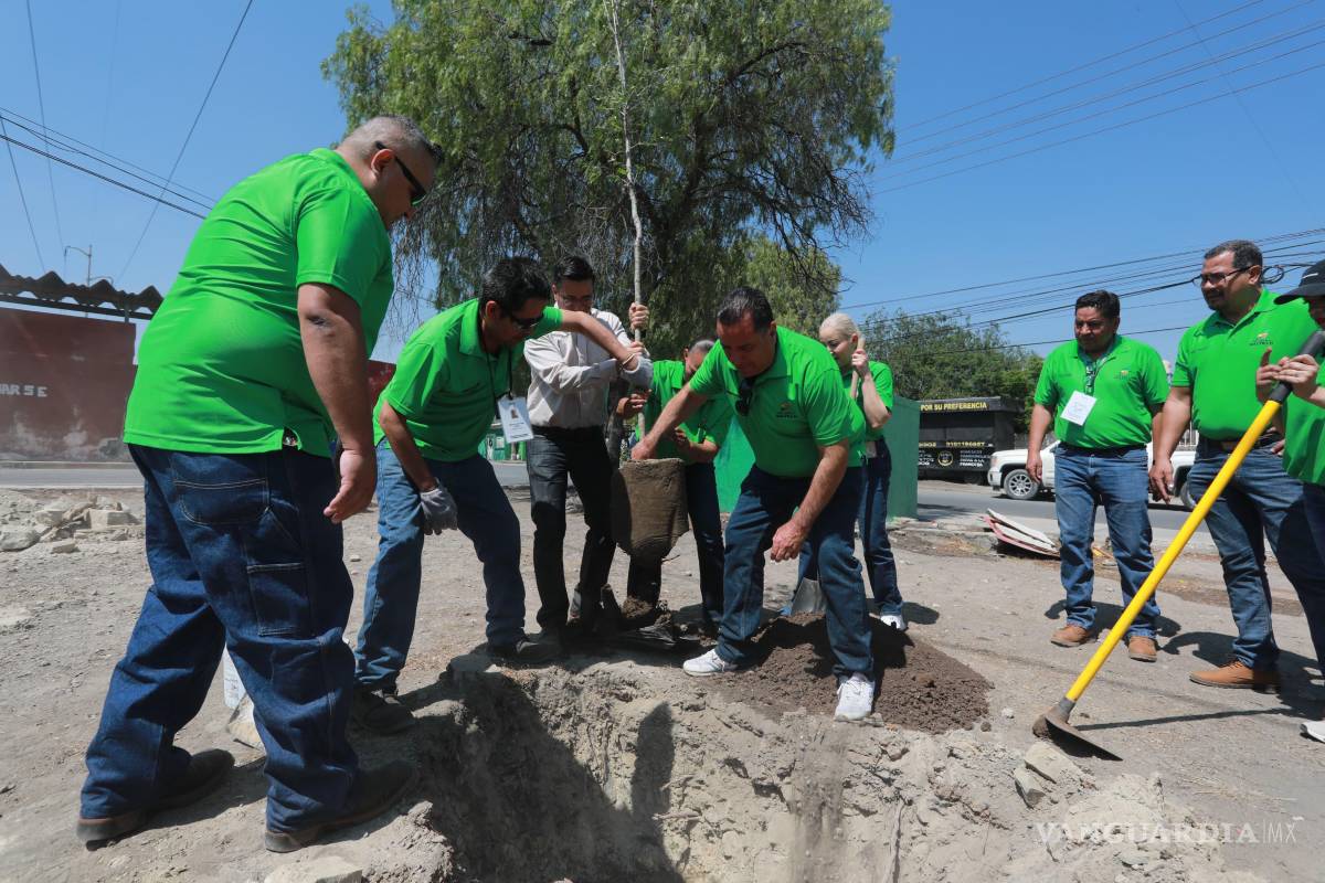 $!La reforestación fue considerada por Saltillo Verde como un precedente positivo de justicia ambiental que demuestra la importancia de la colaboración interinstitucional.