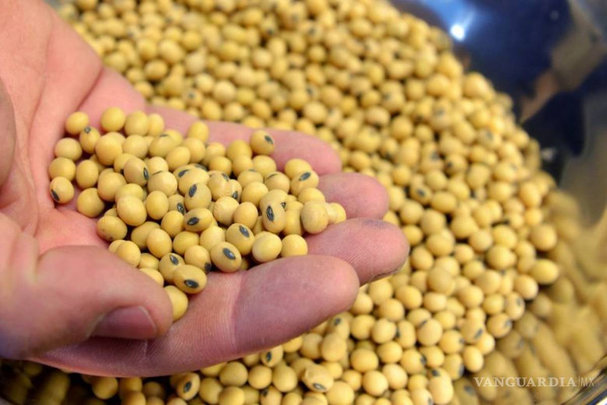 $!El café, chocolate, jarabe de maple y otros ingredientes desaparecerían por el cambio climático