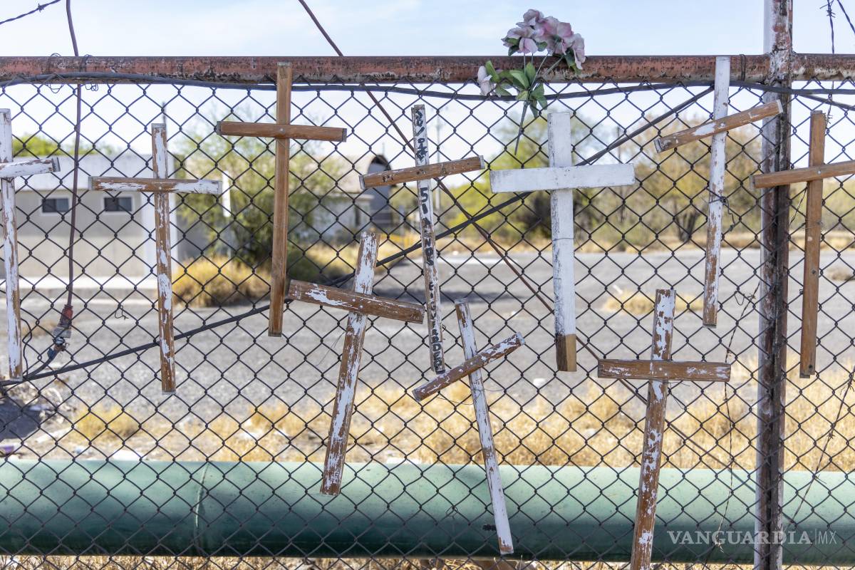 $!Las cruces de los 70 trabajadores de Altos Hornos de México que han muerto desde el cierre de la acerera, recuerdan que murieron sin ver sus finiquitos.