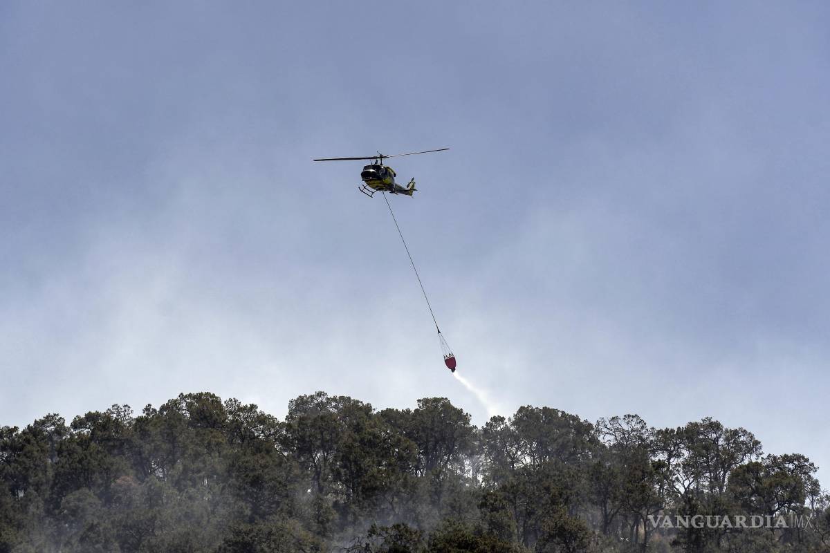 Contienen al 90% incendio en El Tunal, Arteaga; liquidan 85% del fuego