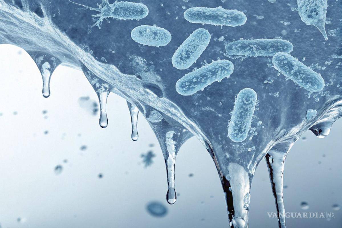 Alertan por Microbios antiguos congelados durante 40 mil años; estas serían las consecuencias si despiertan