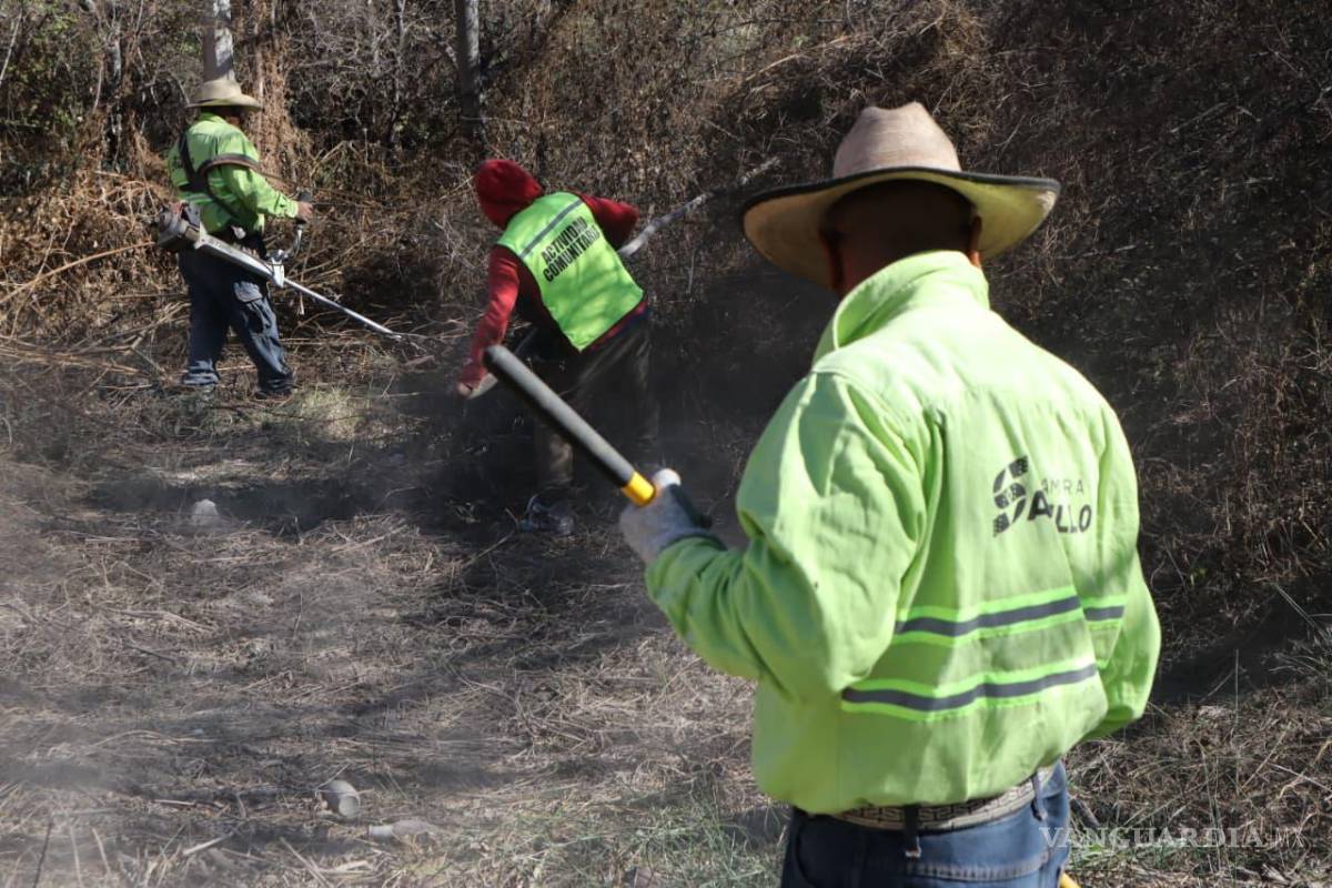 $!Brigadas del programa “Aquí Andamos” realizan limpieza y deshierbe en la colonia Valle de San Lorenzo.