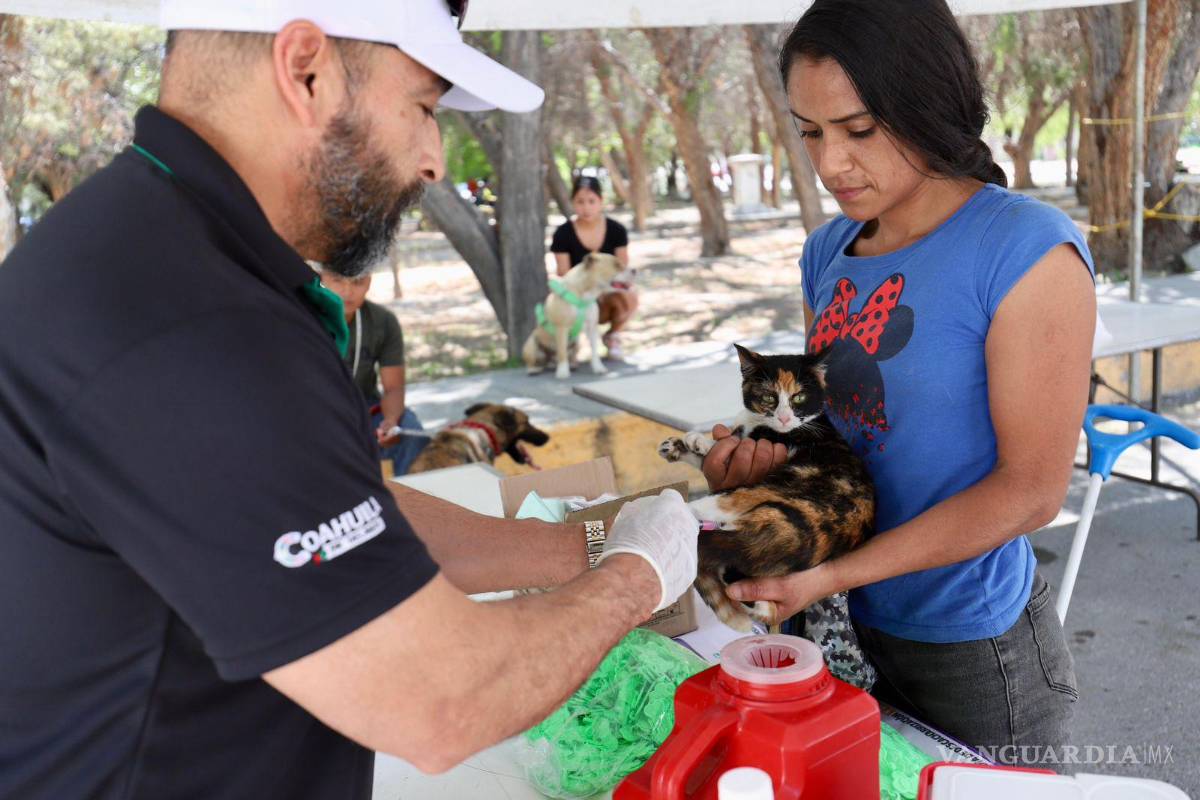 $!Personal de salud aplicó vacunas antirrábicas a mascotas como parte de las acciones para proteger la salud pública en Arteaga.