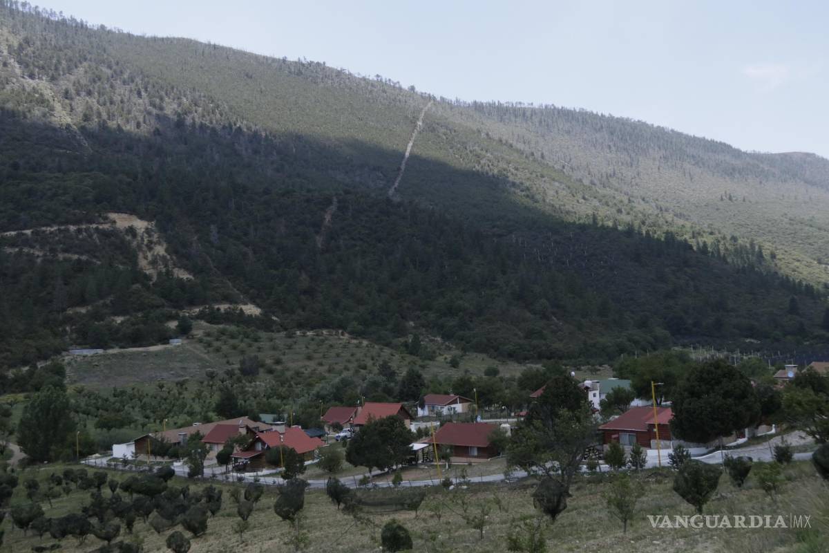 $!Para muchos, la proliferación de cabañas ha redituado en empleo para los pobladores de los ejidos y lo ven como un beneficio para las comunidades.