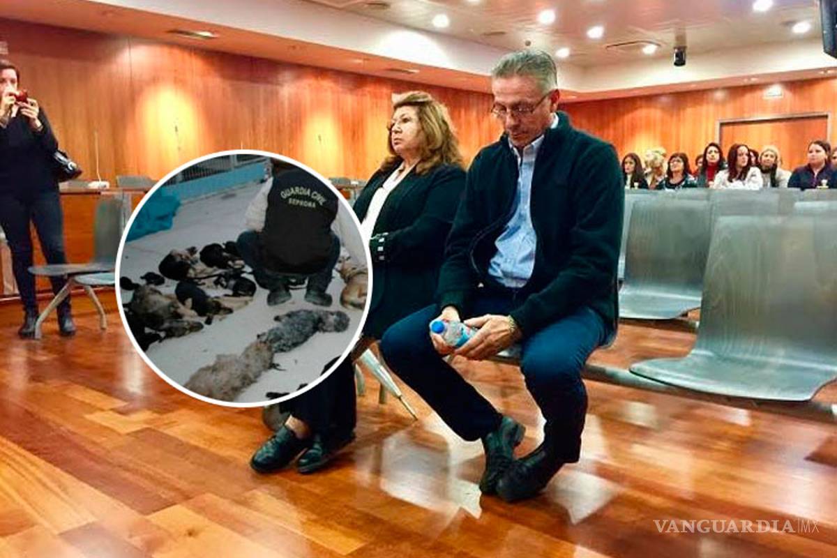 'Defensora de animales' mató a miles de perros y gatos 'lenta y dolorosamente'