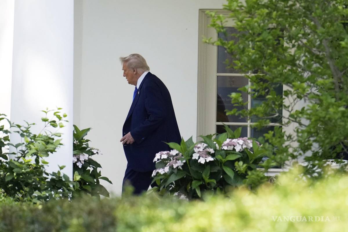 $!El proceso cesar a Trump no puede verse abocado al fracaso porque su comportamiento, Thanedar afirma, es inconstitucional: “Está siendo un dictador”.