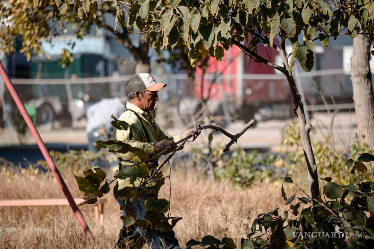 $!Comerciantes y vecinos destacaron la importancia de mantener las plazas iluminadas y seguras, pues son puntos de reunión para jóvenes, familias y adultos mayores.