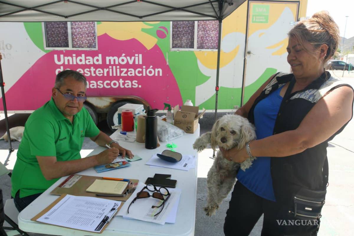 $!Personal municipal y asociaciones civiles brindaron atención a perros y gatos durante la jornada.