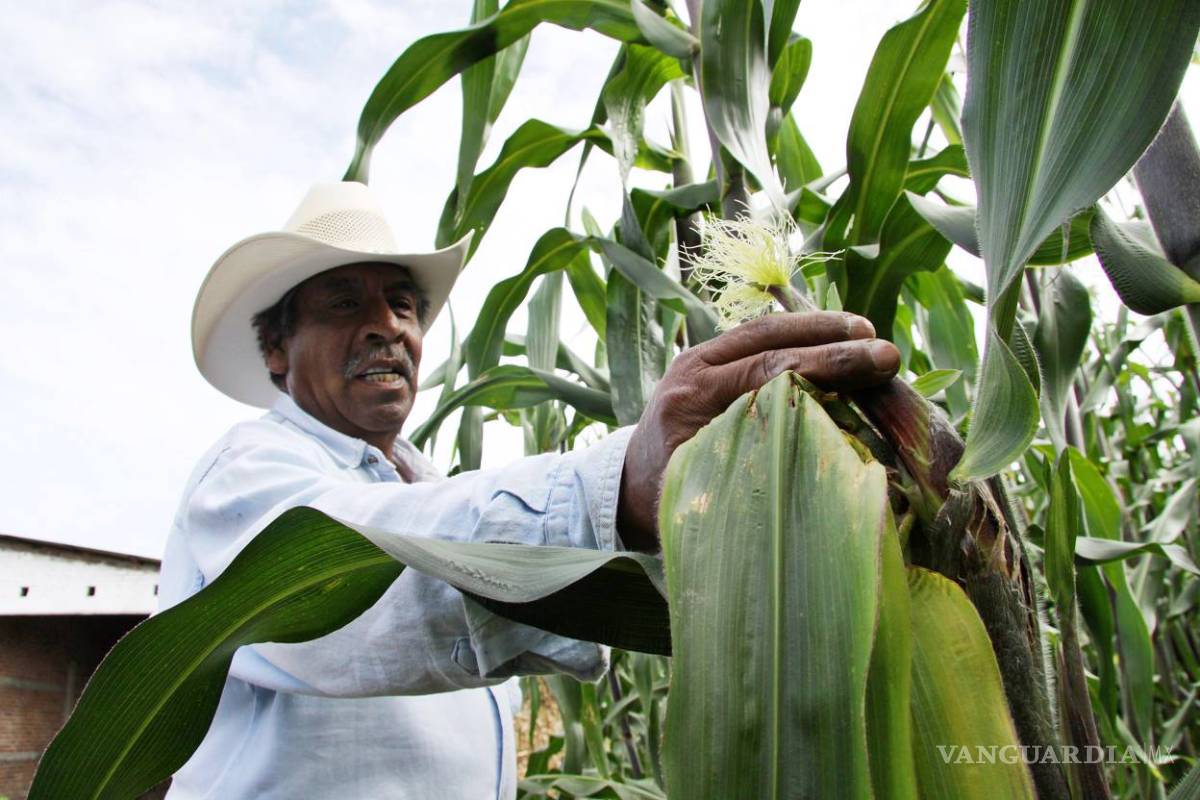 Otorgan a saltillense Premio Nacional de Tecnología; crea un estimulante vegetal