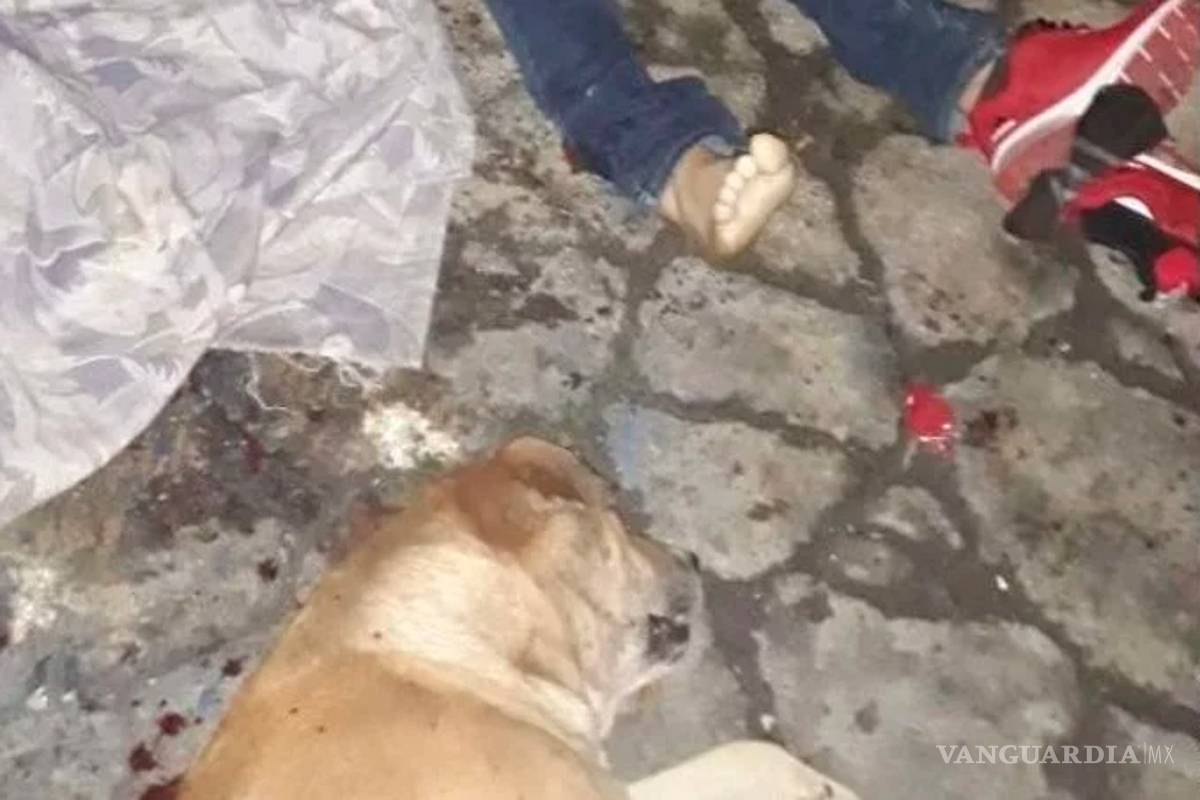 Sicarios del Cártel Jalisco Nueva Generación asesinan a un hombre y a su perro