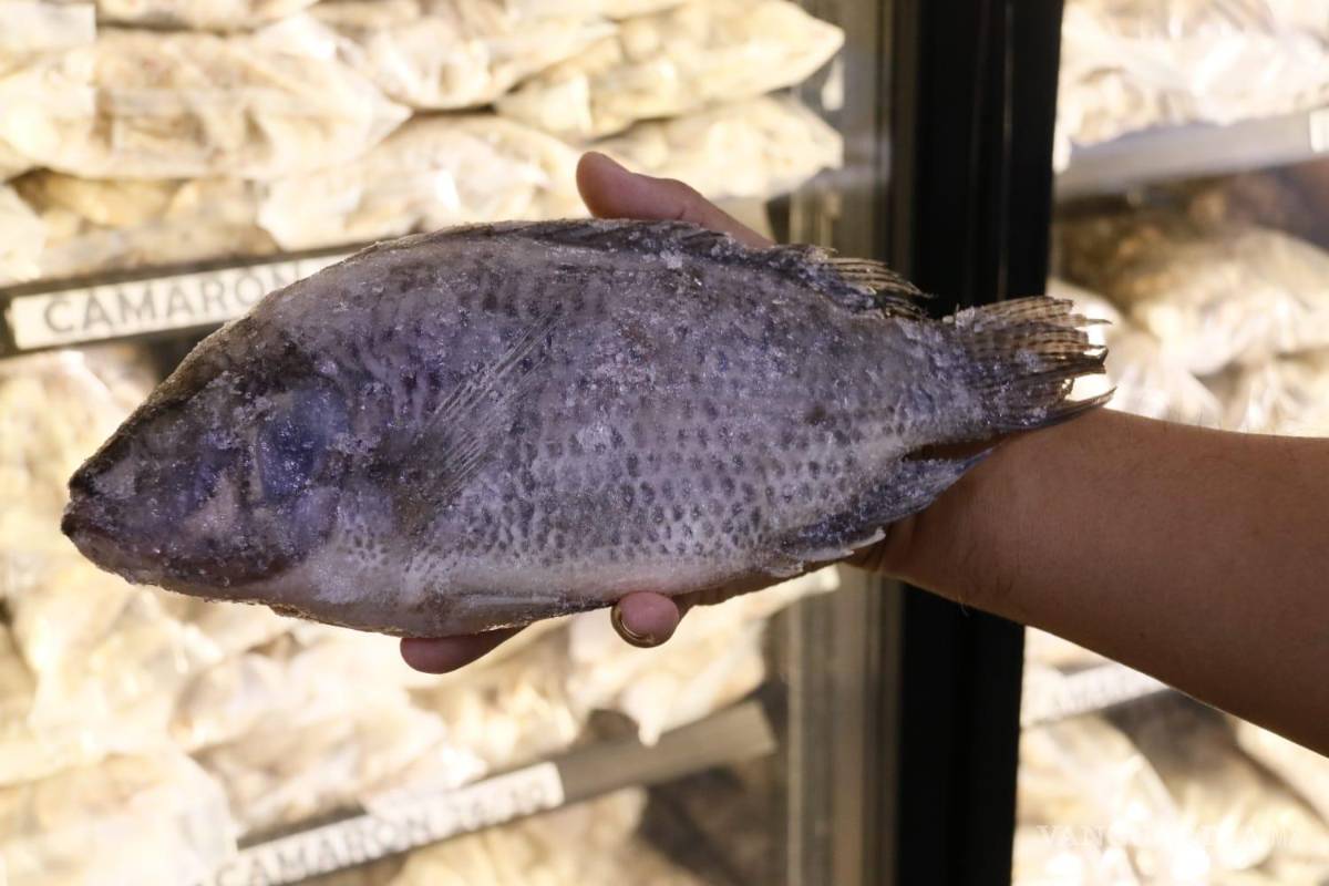 $!Lista de precios en proveedor del centro de Saltillo muestra estabilidad en costos, aunque comerciantes prevén aumentos rumbo a Semana Santa.