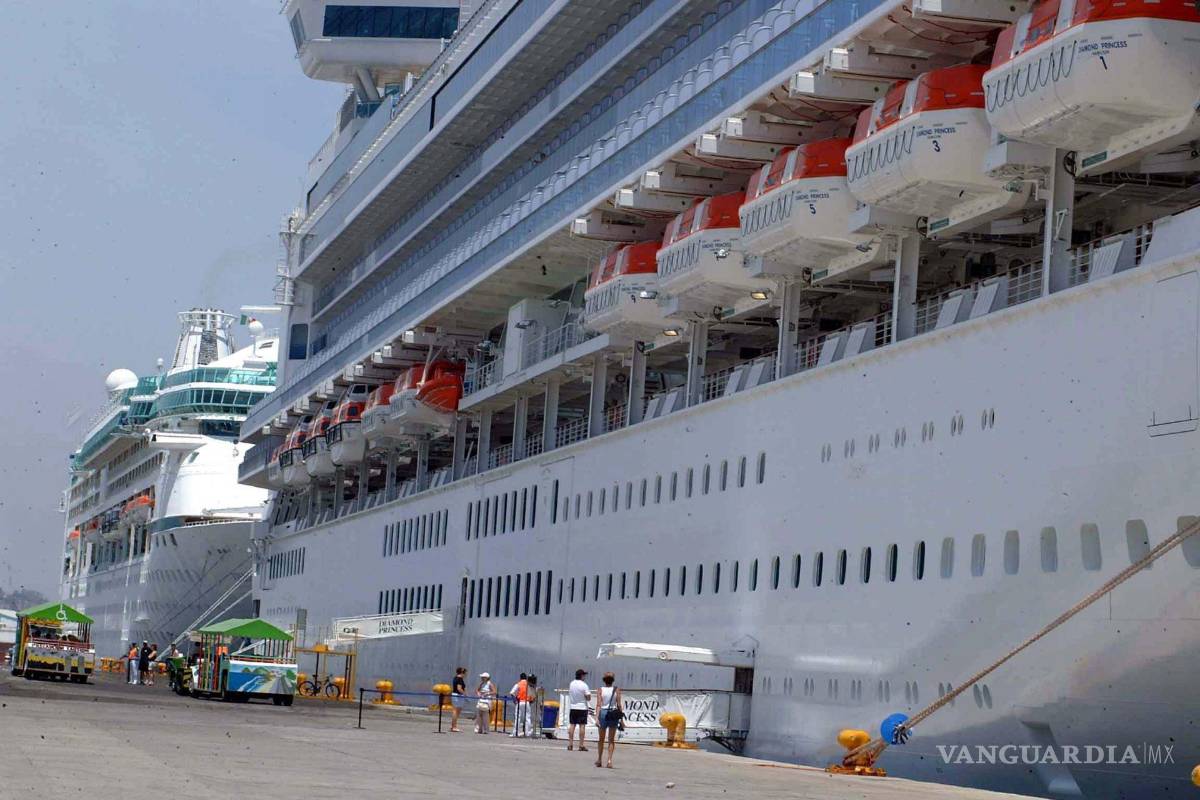 Mazatlán: El café de los gringos, el negocio que se disputan ‘Los Chapitos’ y ‘La Mayiza’