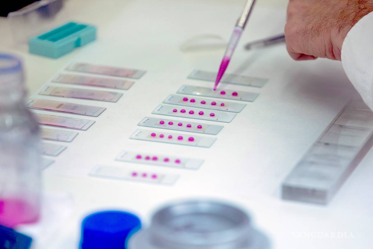 $!Así afecta el cambio climático a la salud