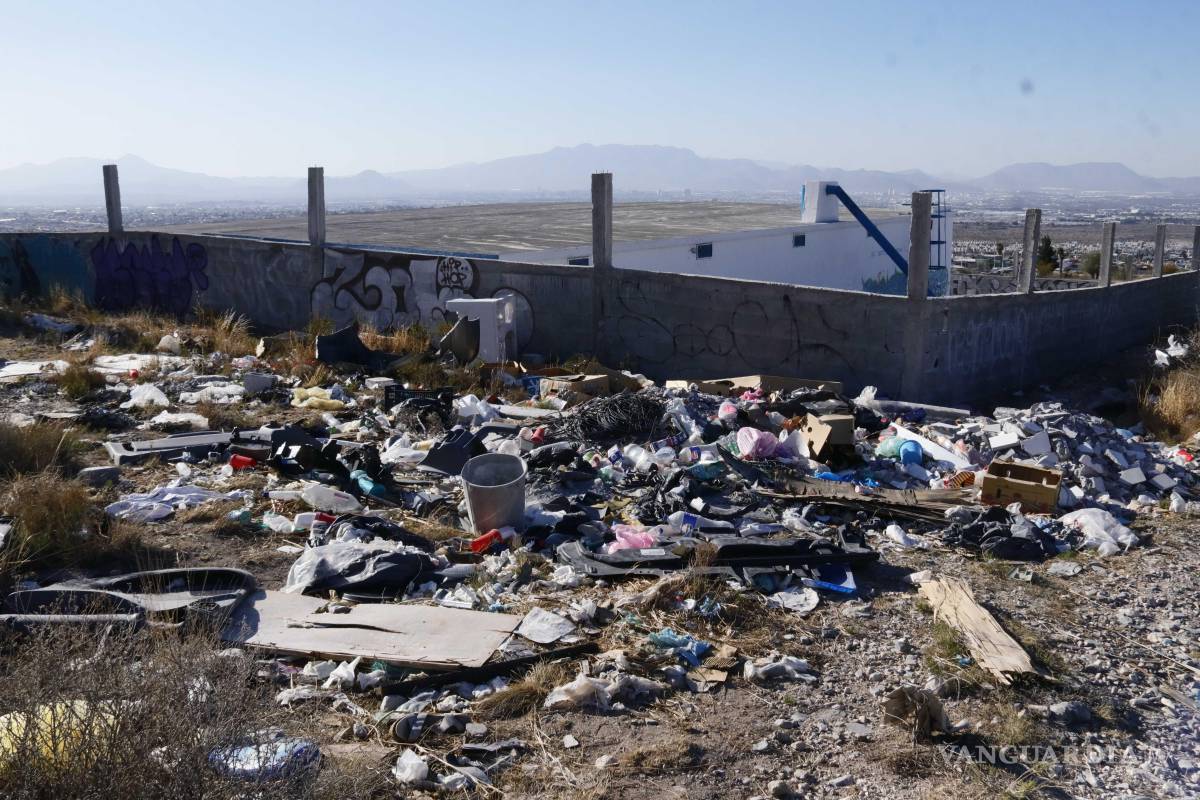 $!De acuerdo con la activista, en el sitio descienden especies como venados, coyotes, zorros y liebres, cuya presencia refleja la importancia ecológica del área, ahora amenazada por la acumulación de residuos y la alteración del entorno.