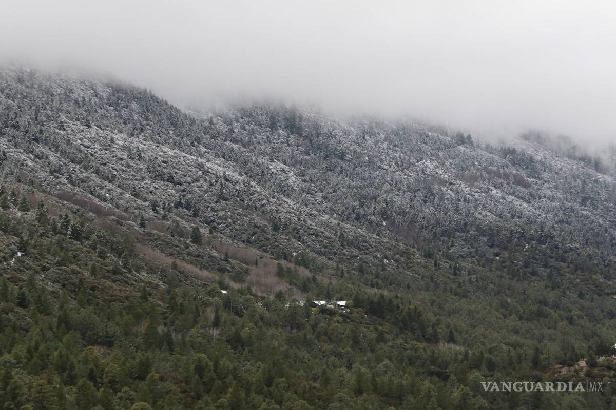 $!No, no es Suiza ¡es la sierra nevada de Arteaga, Coahuila! (Fotogalería)