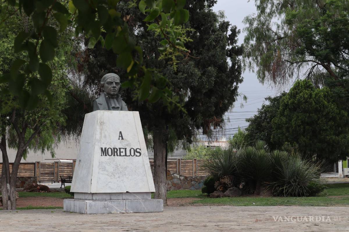 $!Los vecinos contactados por su parte señalaron que sí era necesaria la poda de las palmeras porque representaban un riesgo.