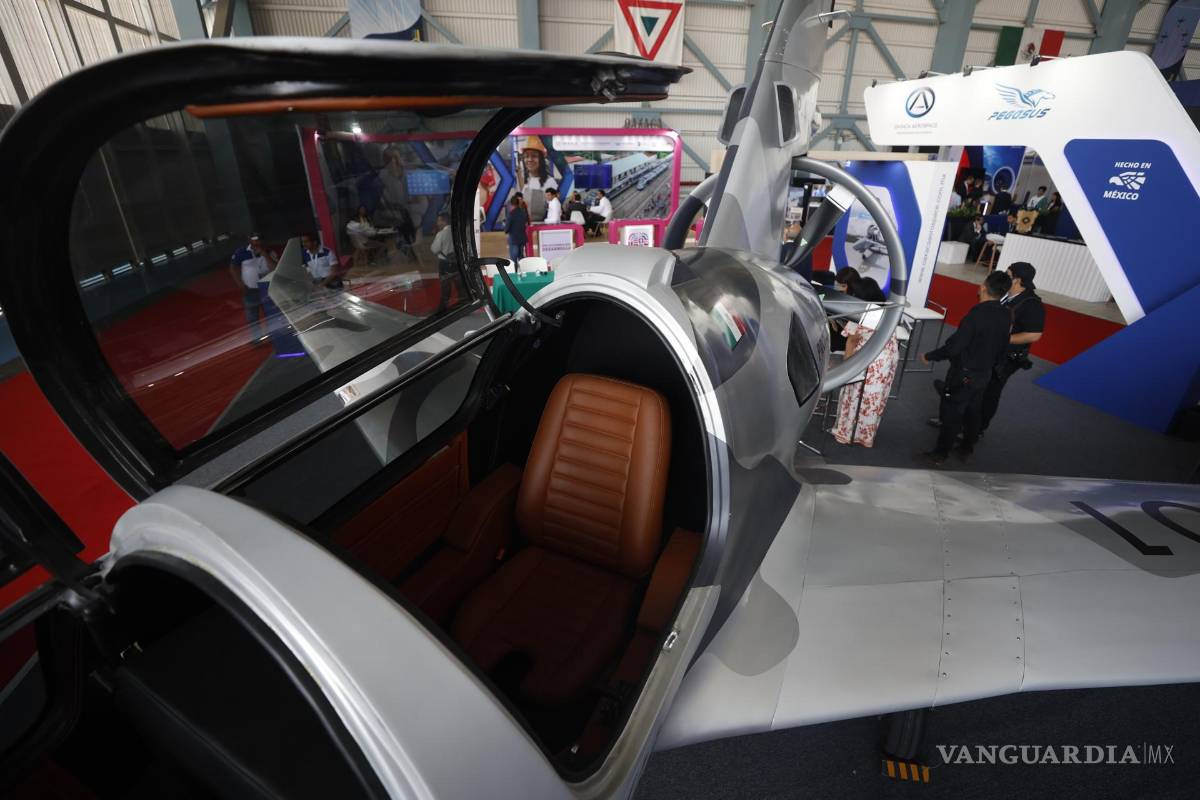 $!EL Pegasus PE-210 A está diseñado para ser usado en entrenamiento básico, vigilancia, rescate y aviación recreativa.