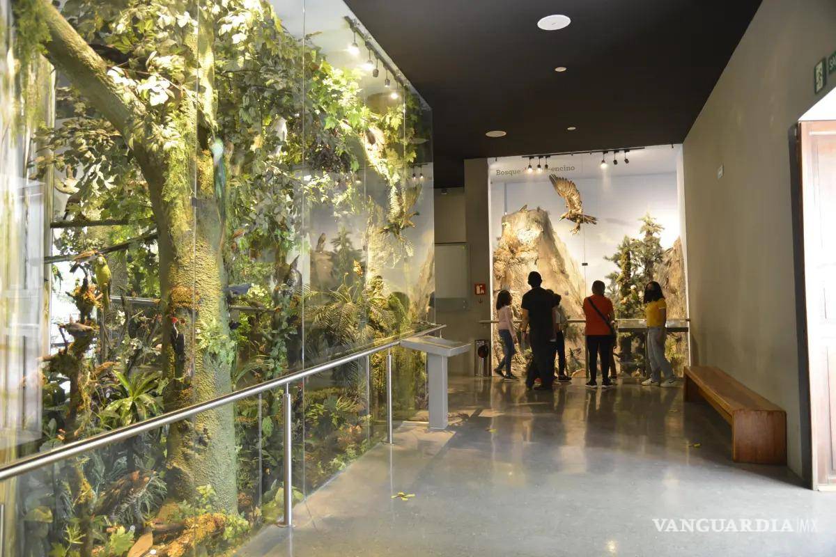 $!El MUSAVE permanecerá abierto durante la temporada vacacional de Semana Santa.