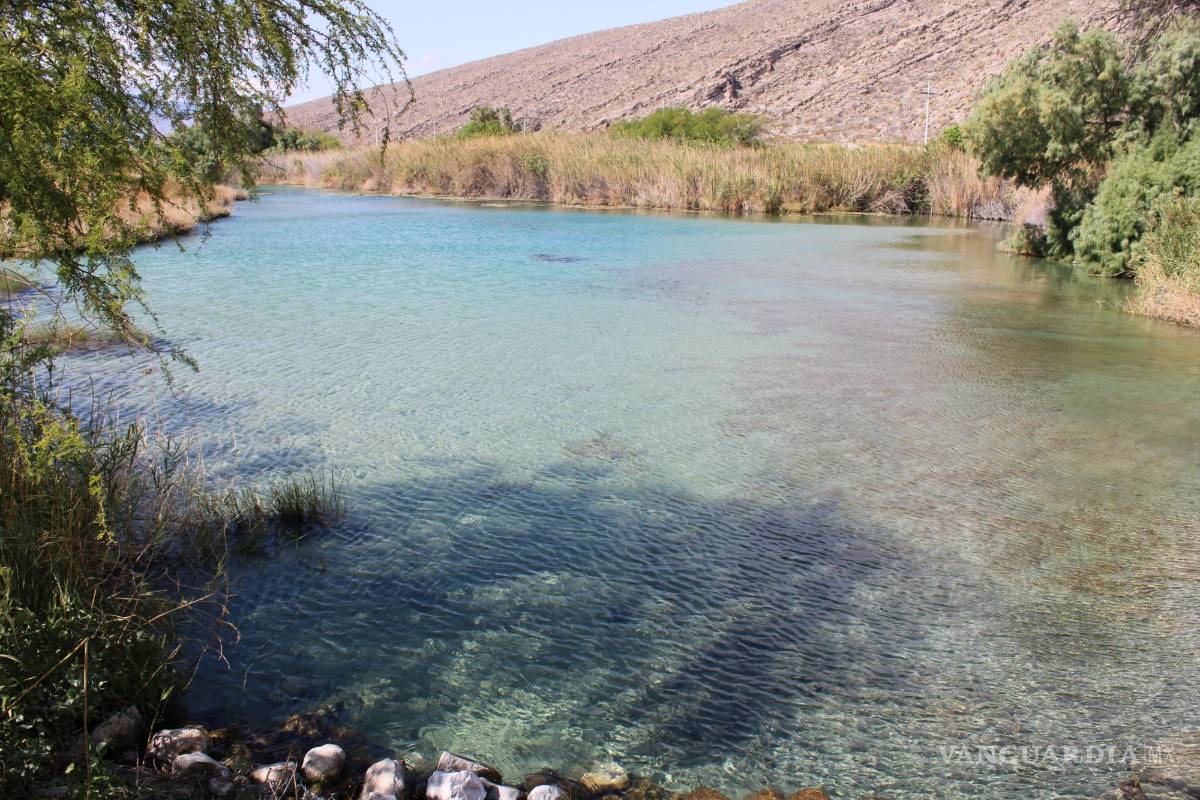 $!La Becerra, manantial principal del ecosistema y que fue un balneario para turistas y habitantes, está cerrado al público.