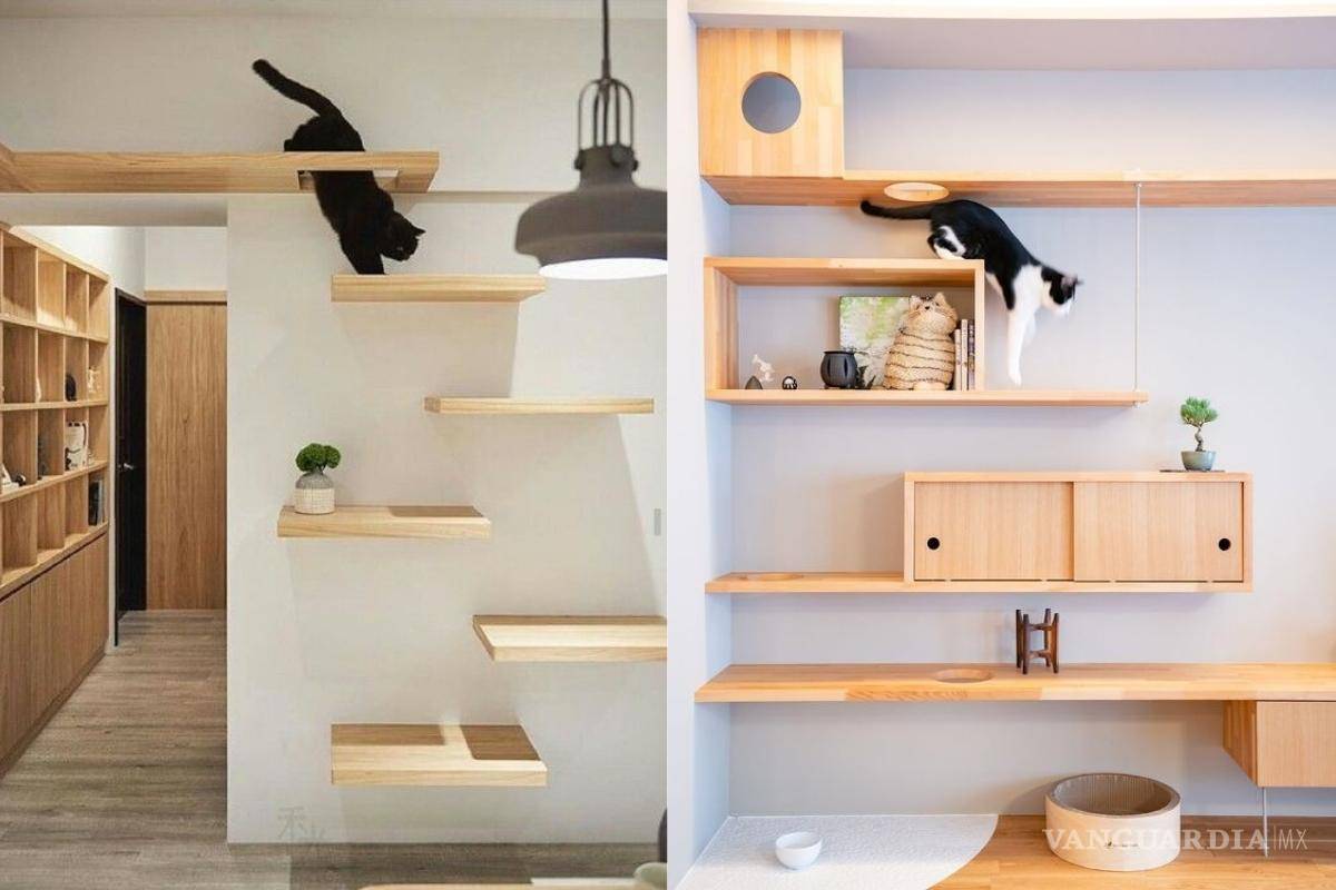 $!Las repisas son un “must” en la decoración de interiores y pueden convertirse en el espacio favorito de los felinos.