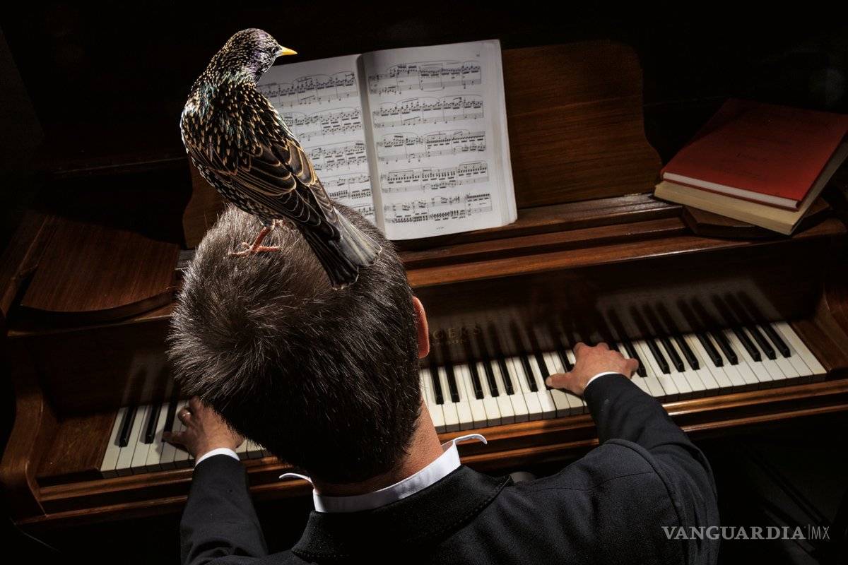 $!Estas son las mejores fotografías de animales del 2018 según National Geographic