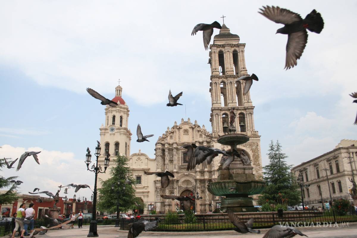 Auyentarán con búhos de plástico a palomas de la Catedral de Saltillo