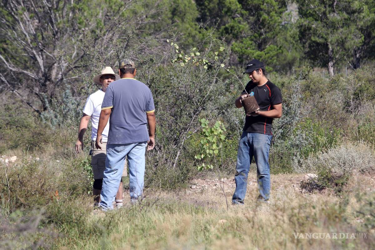 $!Iniciativa de Apoya Tu Bosque Local, suma esfuerzos y más de 6 mil arboles plantados