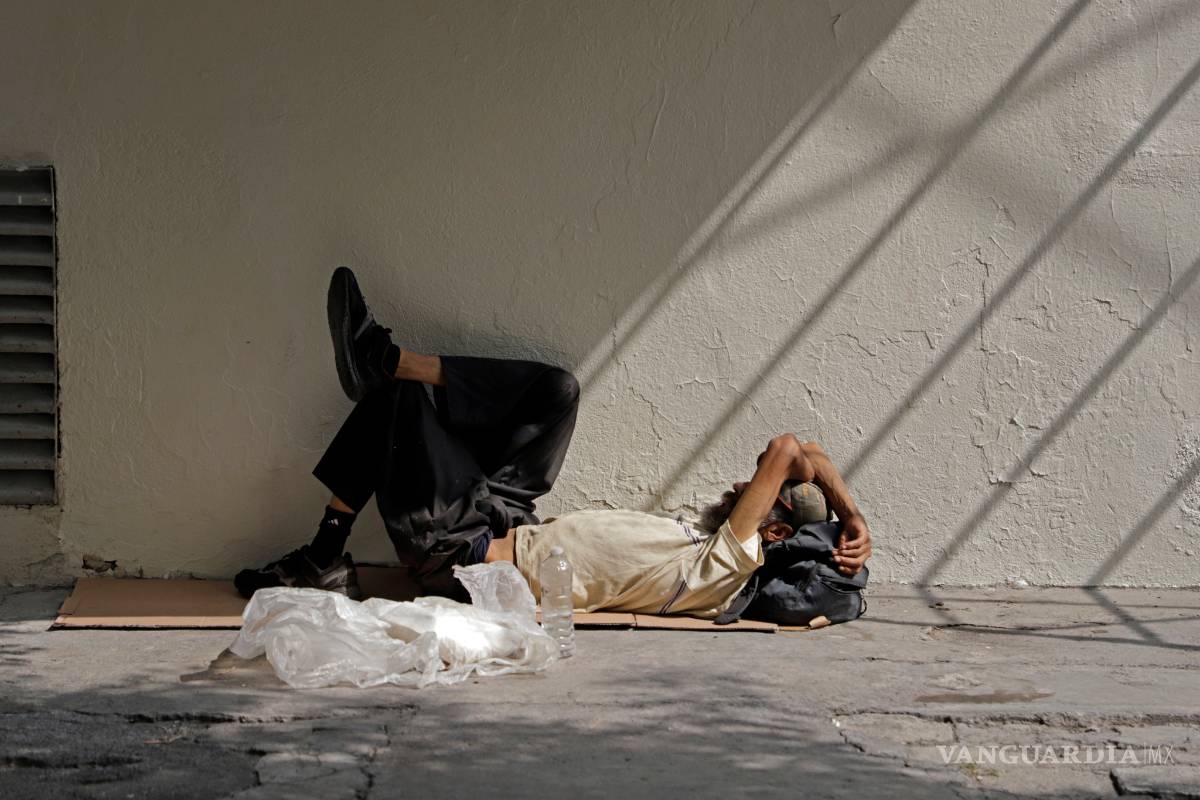 ¿Son invisibles? (Fotogalería)