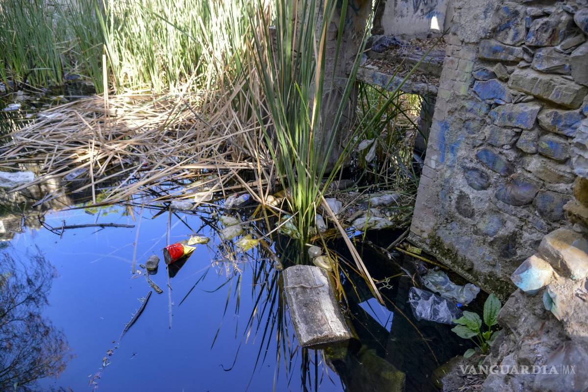 Alto grado de contaminación del Pozo Azul vuelve letal entorno para Carpita de Saltillo