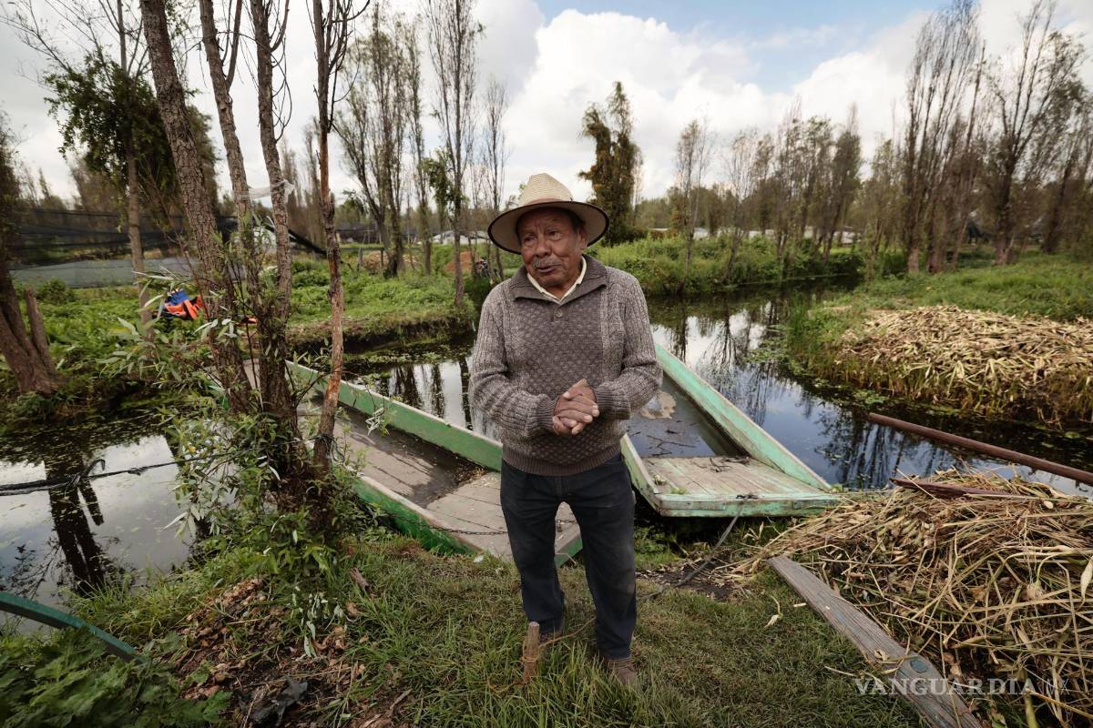 $!El Agricultor Agustín Galicia en Xochimilco. El cabello humano reciclado se utiliza para ayudar a mitigar la contaminación de los canales y proteger los suelos de las chinampas.