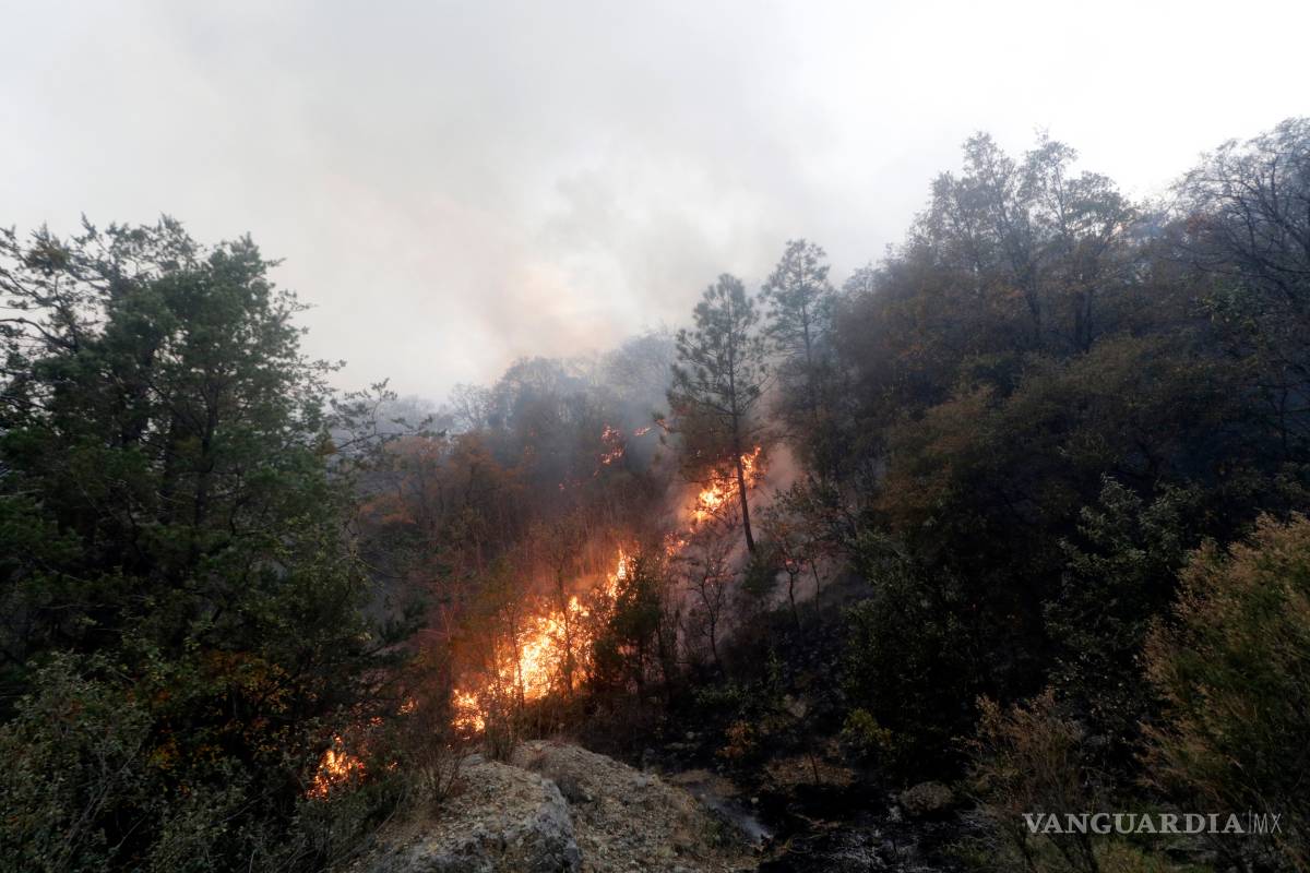 Sólo 5 por ciento de incendio en la Sierra de Arteaga ha sido controlado