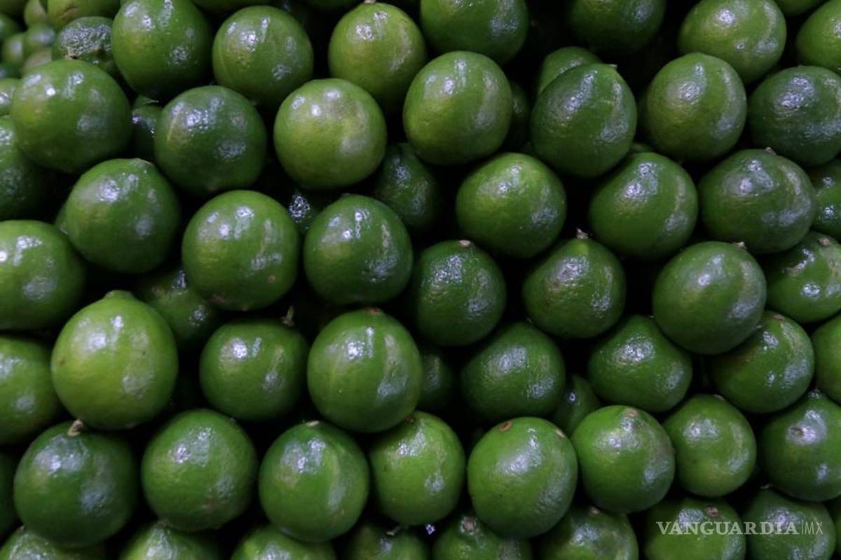 Exigen limoneros que Guardia Nacional intervenga contra criminales