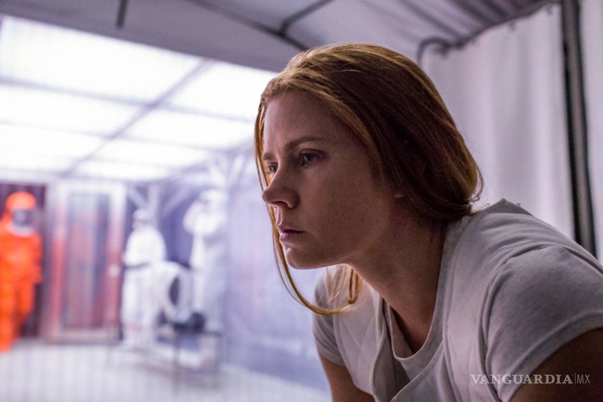 Amy Adams y Martin Scorsese, los &quot;olvidados&quot; de nominaciones al Oscar