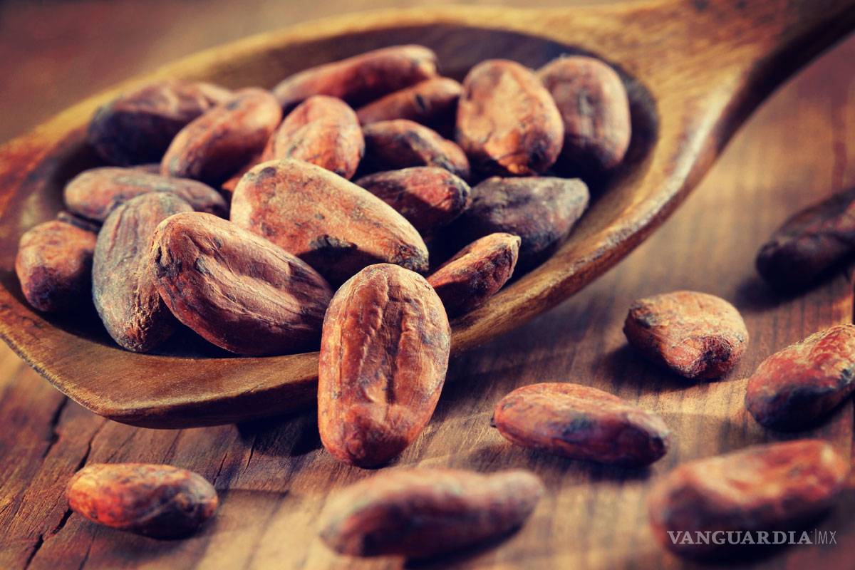 Cacao y té verde, recomendado para tratar la diabetes