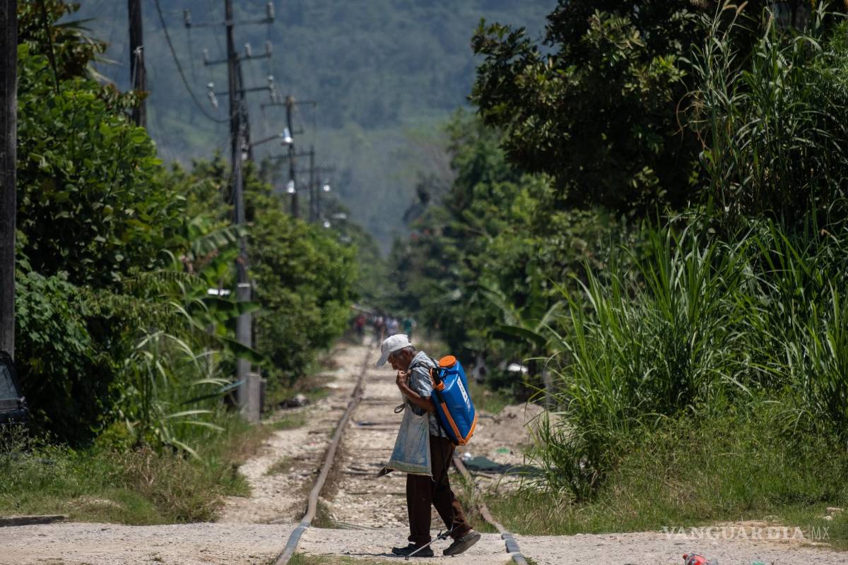 Recuperación económica no favorecerá a los más pobres