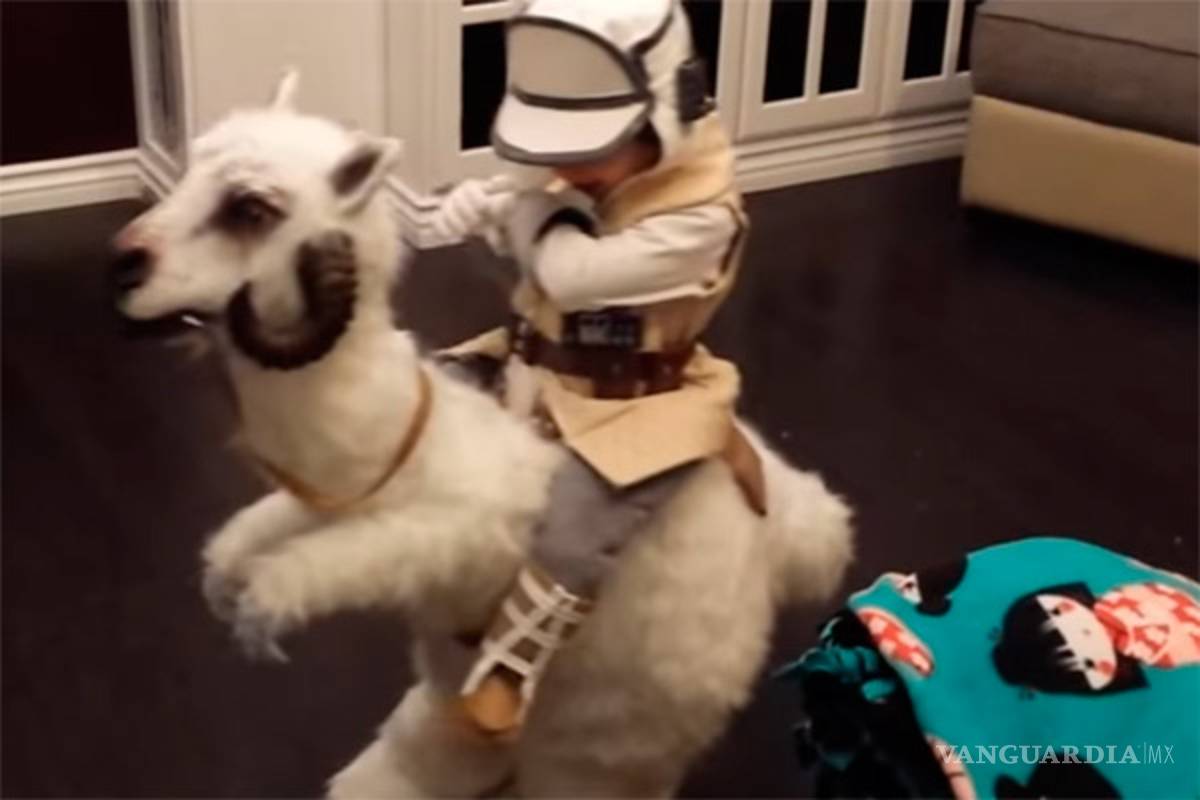 Un pequeño Luke Skywalker y su tauntaun conquistan Youtube (video)