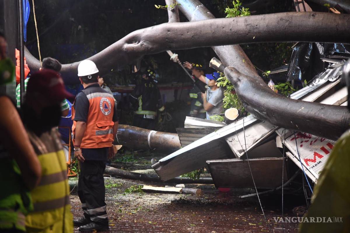Fallece hombre tras lluvias en la CDMX, le cayó un árbol
