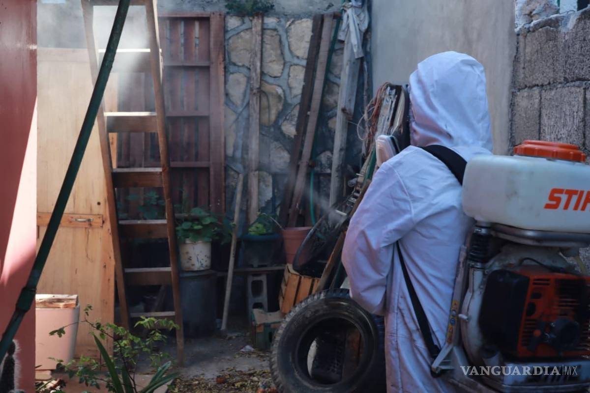 $!El Ayuntamiento busca reducir la presencia del parásito en las zonas urbanas y proteger la salud de las familias saltillenses.