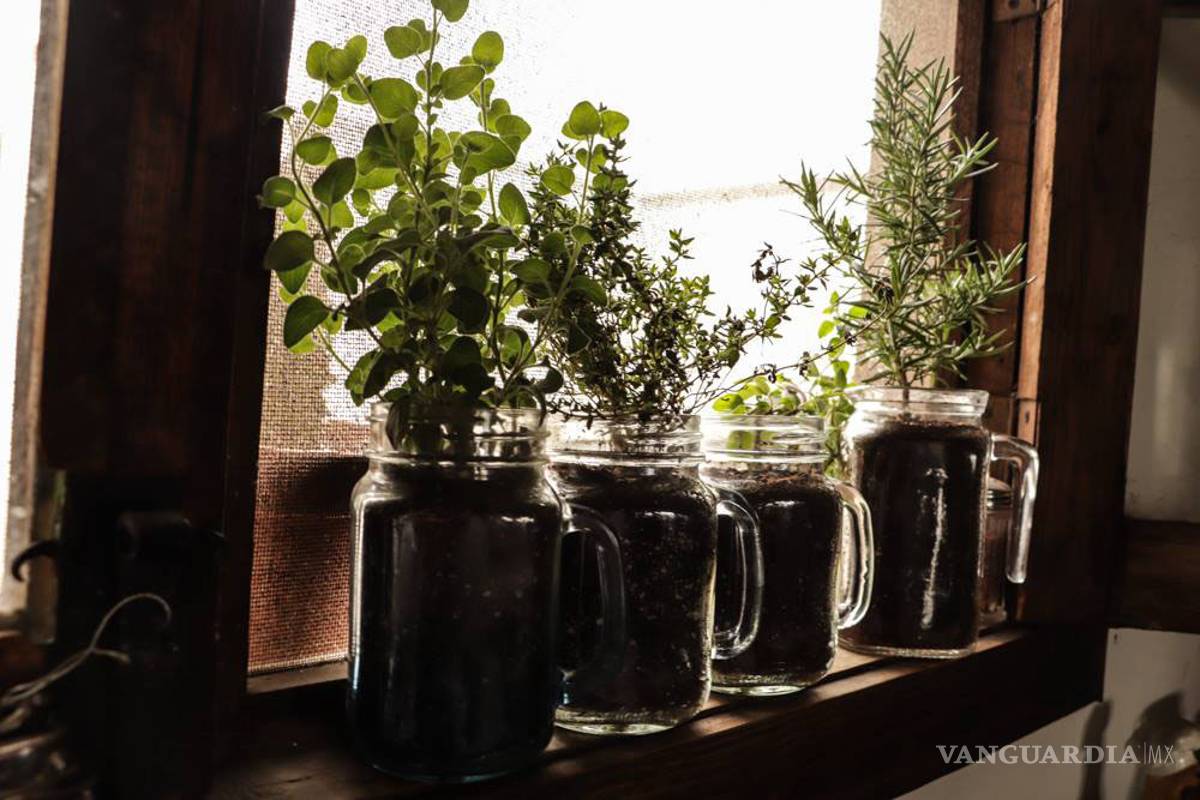 Alumnos de la FCC fomentan cultura ecológica