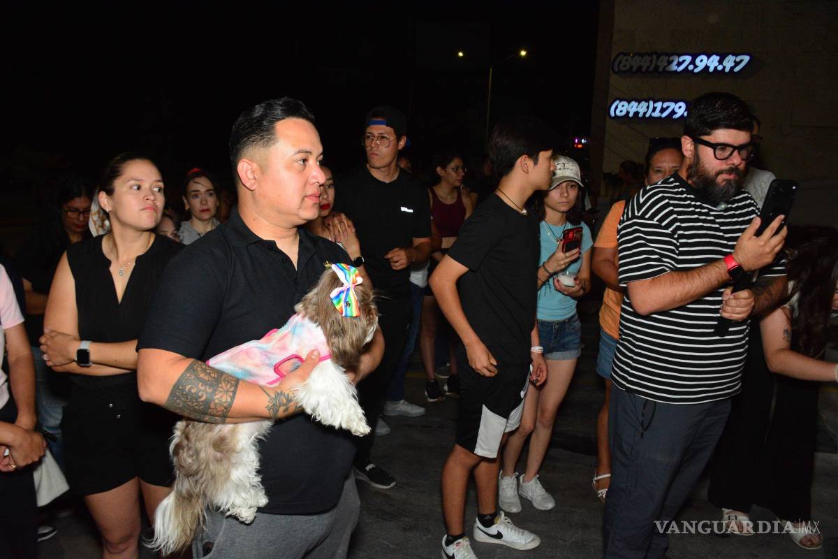 $!El malestar de la gente por el maltrato animal generó movilizaciones, pero mucha gente desconoce la existencia de un Juzgado para atender estos casos.