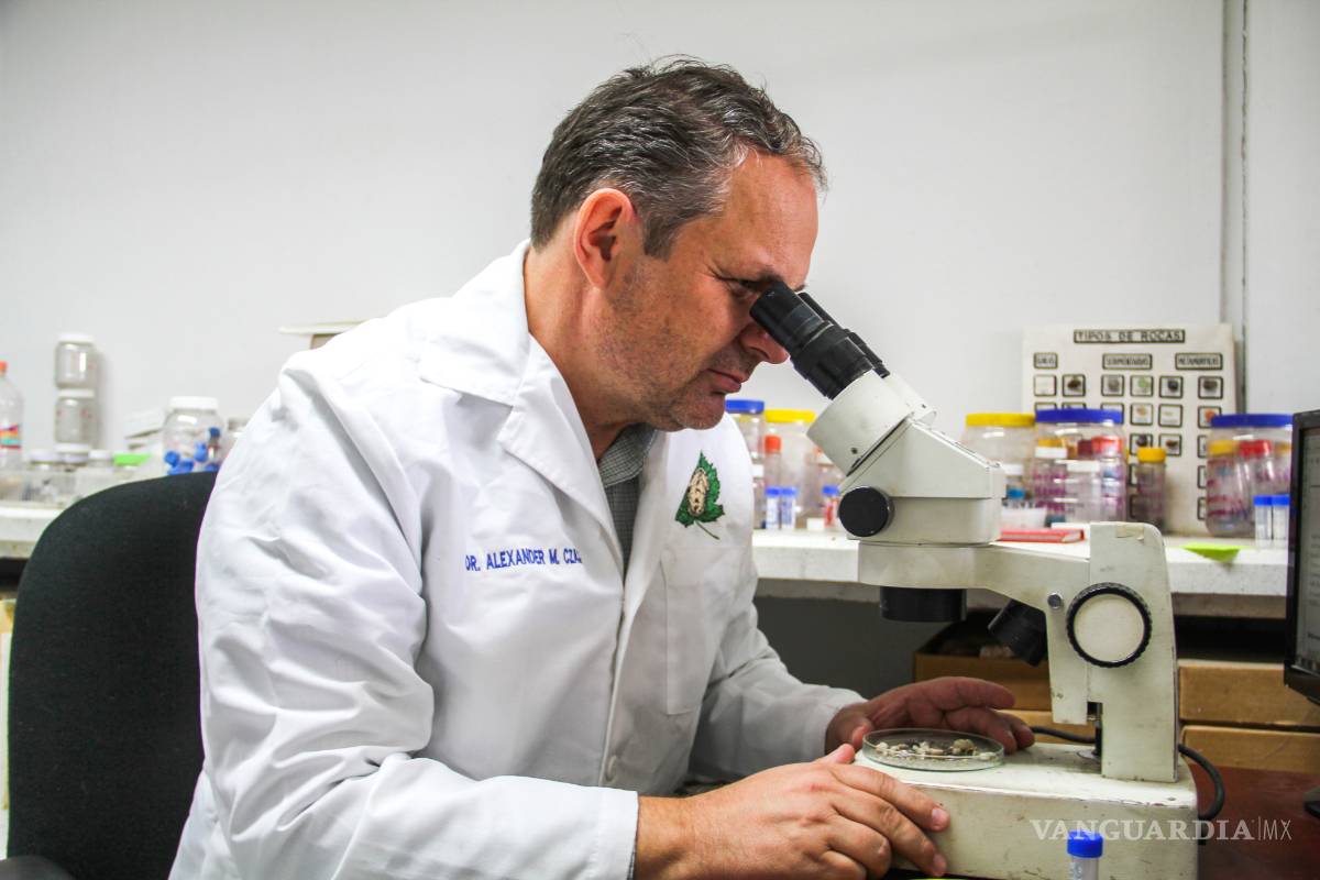 $!Aportación de Coahuila a la Zoología: Descubren nuevo caracol y 2 especies