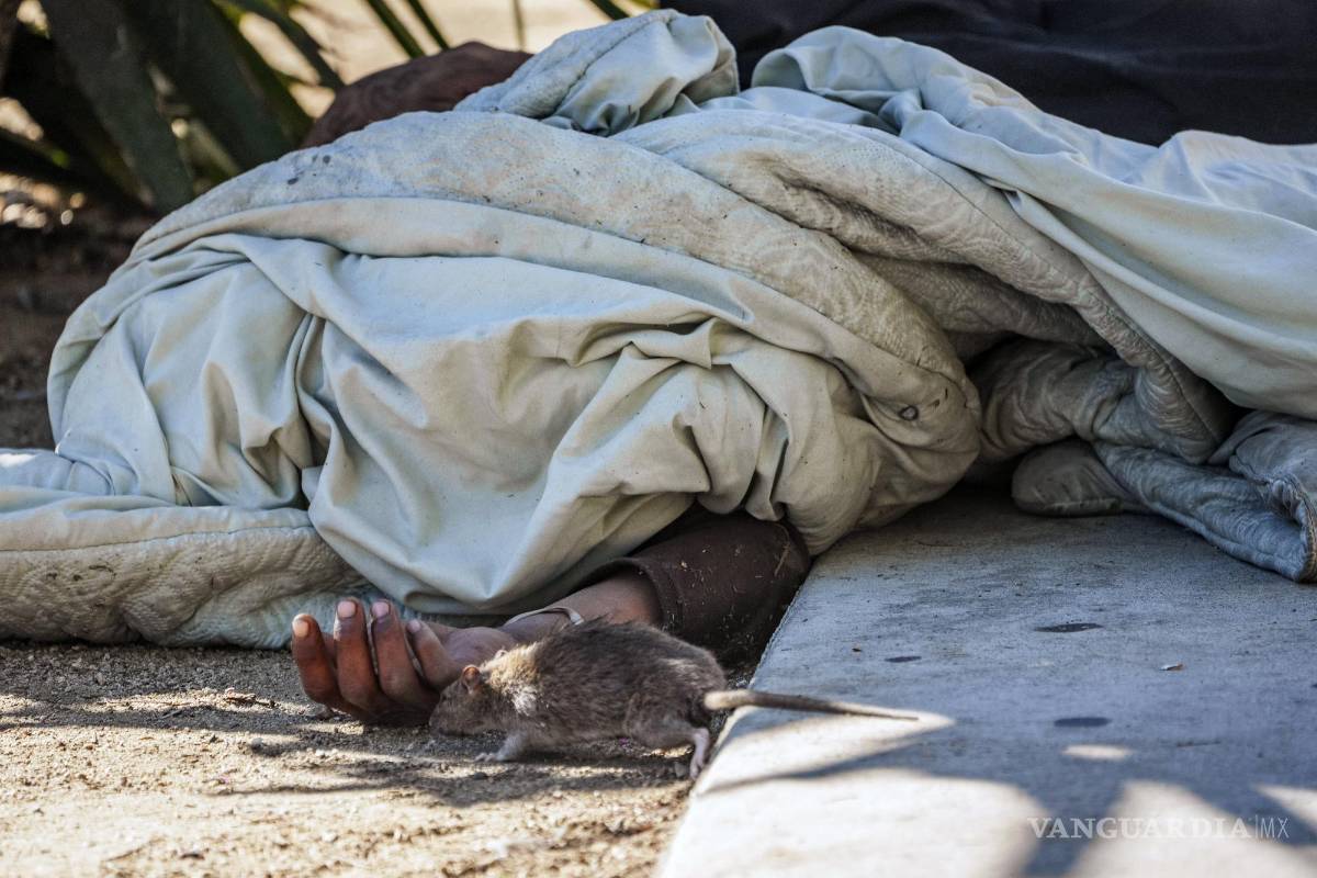 Crece 20 % número de personas sin hogar en Estados Unidos