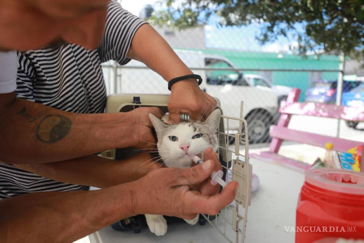$!Familias del sector acudieron para recibir atención veterinaria y orientación sobre el cuidado de sus mascotas.