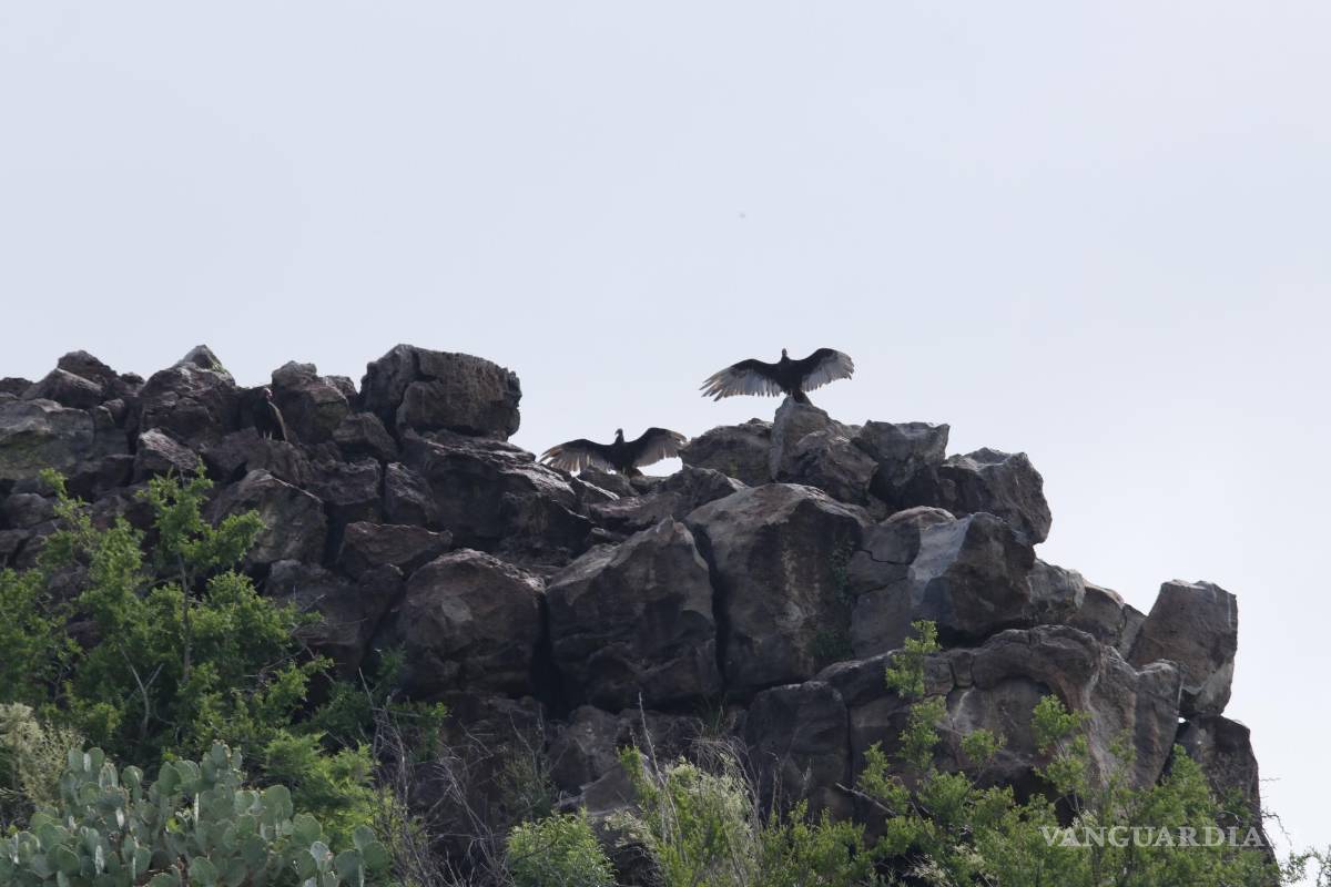 $!“Este tipo de actividad (el Kakanapo) es común en otros lugares del mundo, como en Islandia, no es usual en México”, José Jorge Aranda Gómez, geólogo.